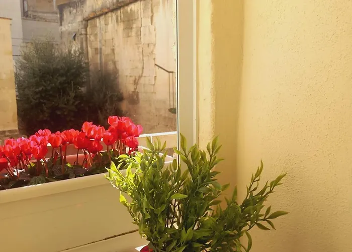 Radici Cave & Matera